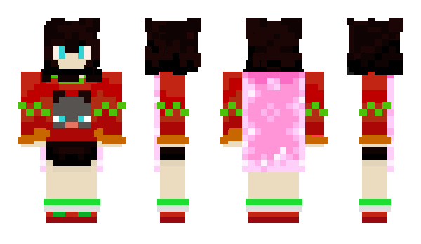 Minecraft skin Timunek