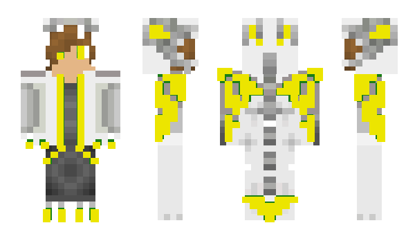 Minecraft skin Skibidibob