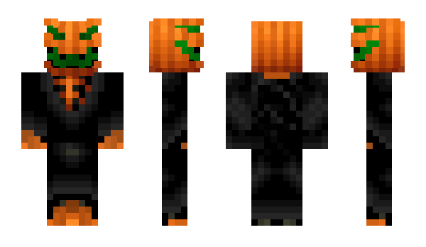 Minecraft skin kingoffrance