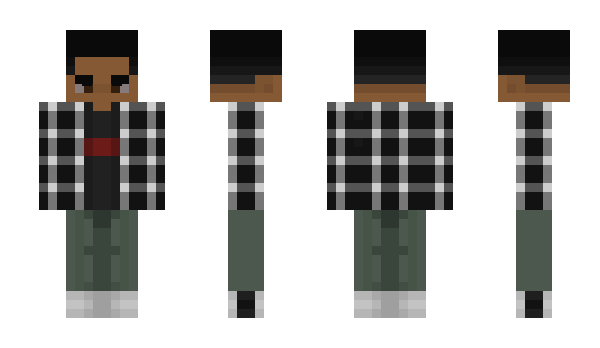 Minecraft skin AppaPapaChoppa