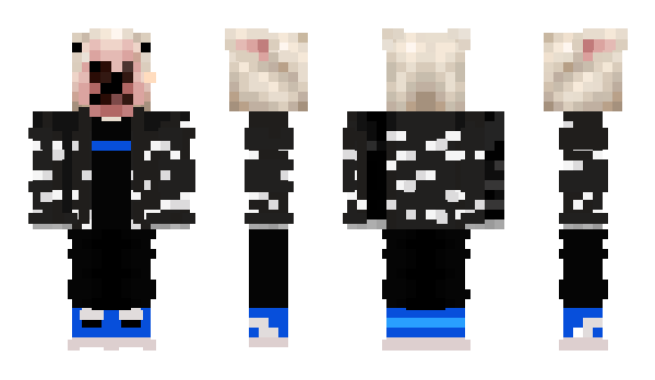 Minecraft skin broxei