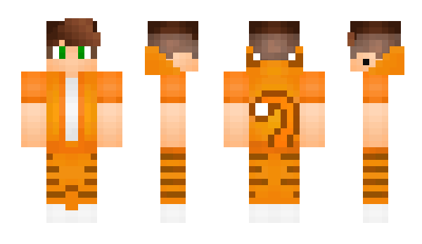 Minecraft skin CodecatMC