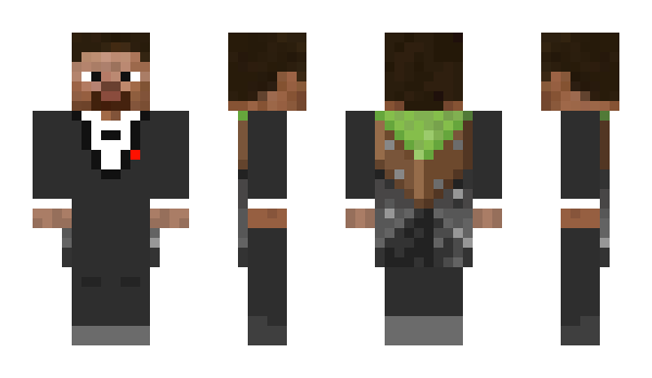 Minecraft skin pandoons