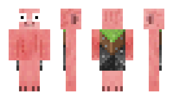 Minecraft skin petertheil