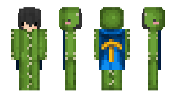 Minecraft skin vay5
