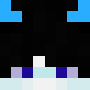 Minecraft skin DZEKS1K