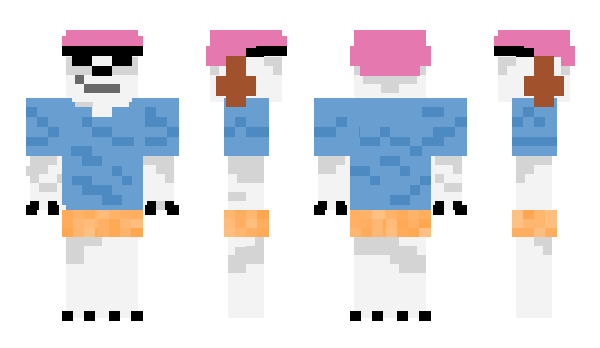 Minecraft skin coquel