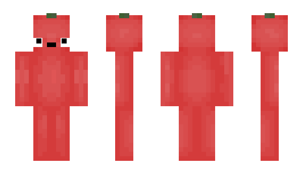 Minecraft skin Metre