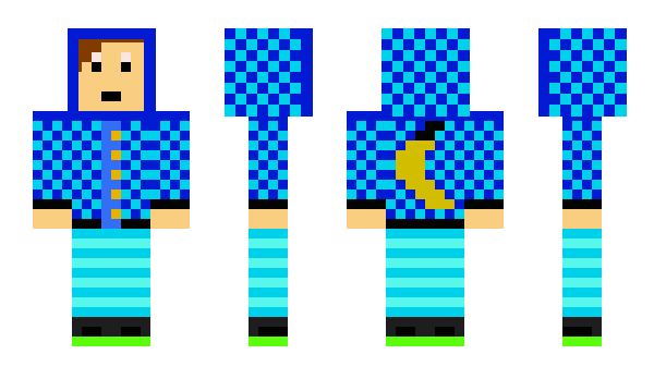 Minecraft skin bluerobin234