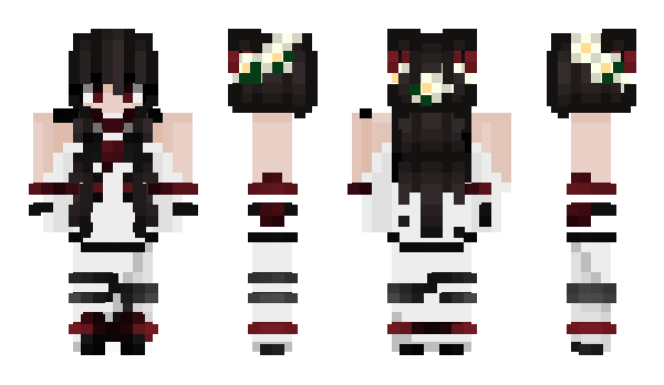 Minecraft skin zDeadly_Akame