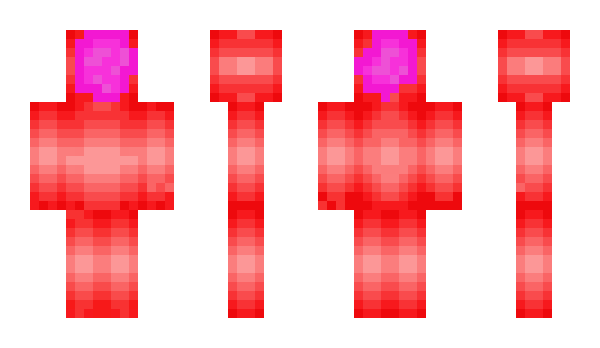 Minecraft skin Reticulocyte