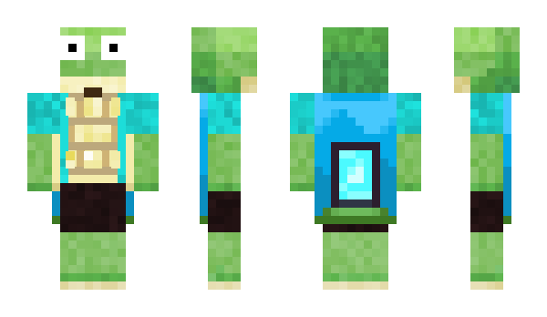 Minecraft skin CreepyTurtle49