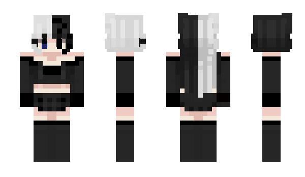 Minecraft skin BrisCortez