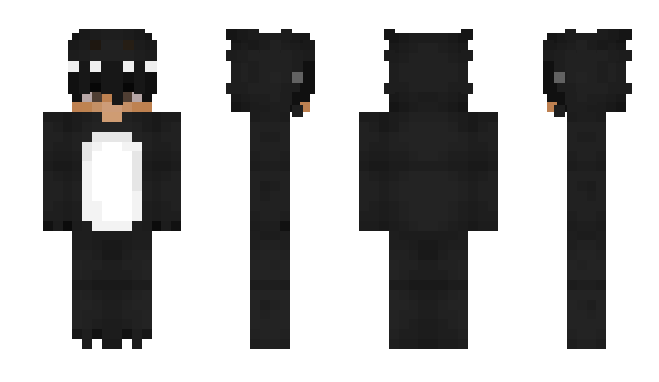 Minecraft skin oWakie