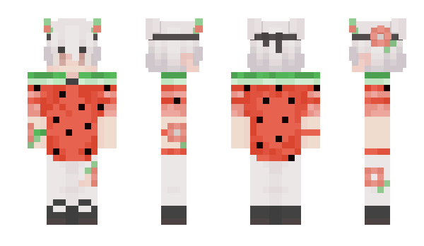 Minecraft skin Polerixer