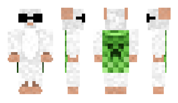 Minecraft skin Taron