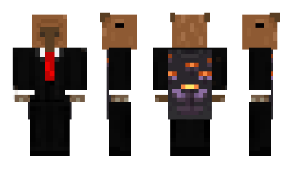 Minecraft skin Gamercapybara_