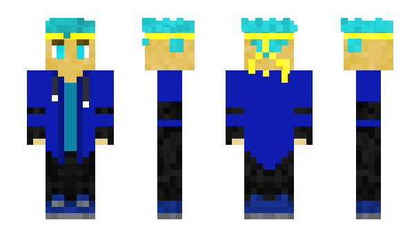 Minecraft skin PansPL