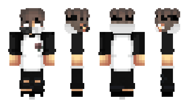 Minecraft skin ldioI