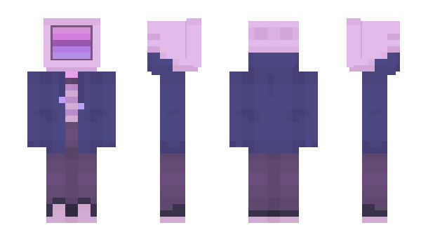 Minecraft skin StellarSkeleton