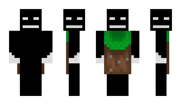 Minecraft skin zip_code