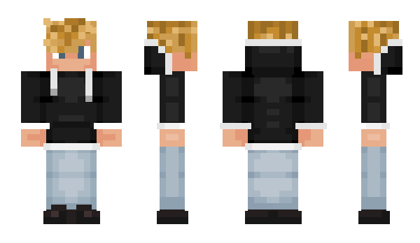 Minecraft skin T9D