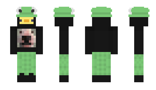 Minecraft skin ALEXminecraft5f