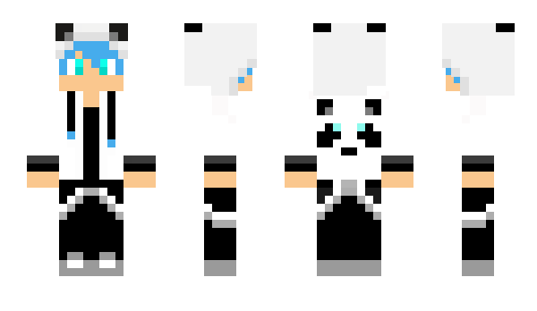 Minecraft skin Apoint