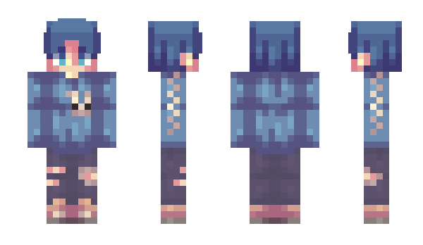 Minecraft skin didisi