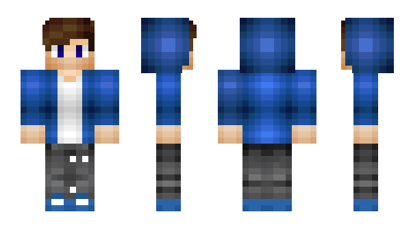 Minecraft skin mr_flashman