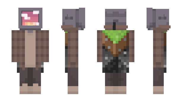 Minecraft skin Xalibre