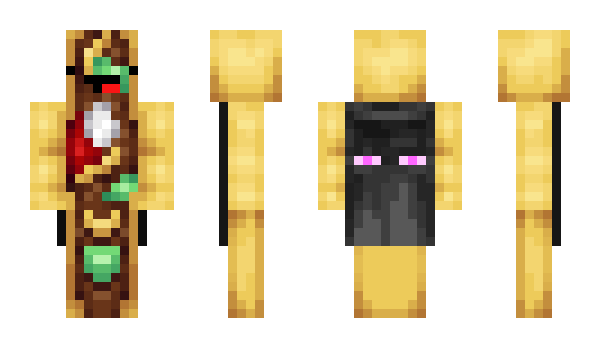 Minecraft skin knoxtaco