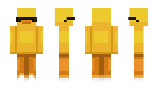 Minecraft skin Pelll