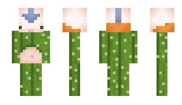 Minecraft скин по нику skeleton_CZ