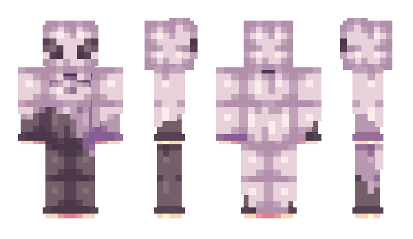 Minecraft skin Viisage