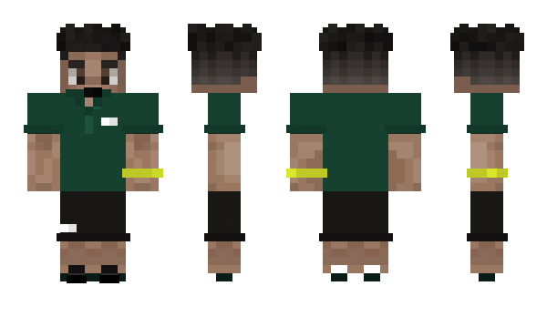 Minecraft skin pintham