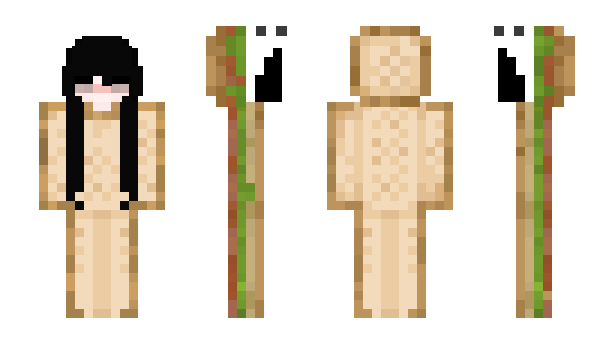 Minecraft skin Sndeyy