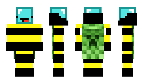 Minecraft skin SkeppyBee