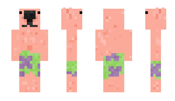 Minecraft skin talordd