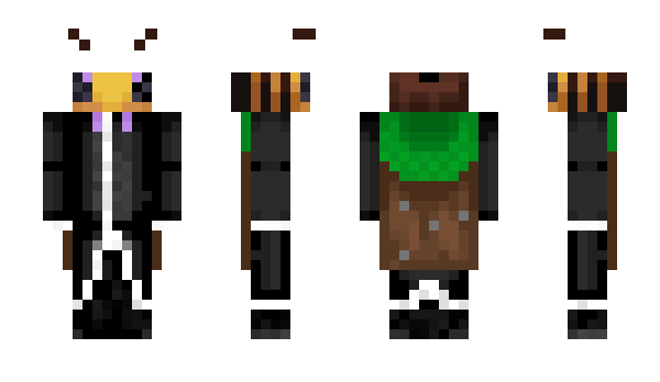 Minecraft skin Netlocus