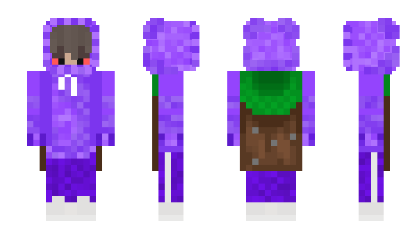 Minecraft skin Kurzbeschreibung