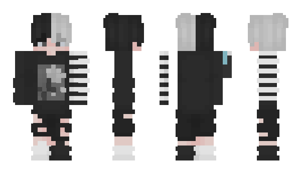 Minecraft skin vasa9090