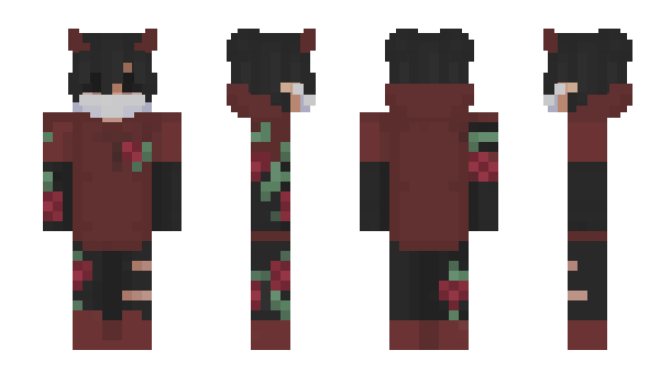 Minecraft skin Parola
