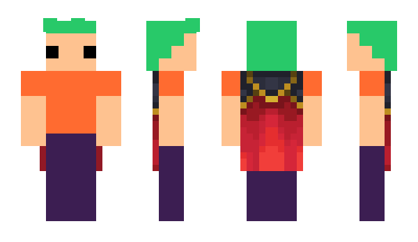 Minecraft skin raflemi