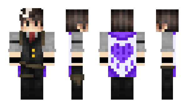 Minecraft skin knightskys