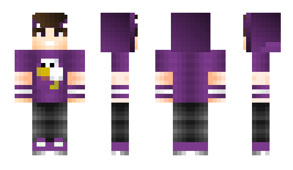 Minecraft skin DartoxPvP