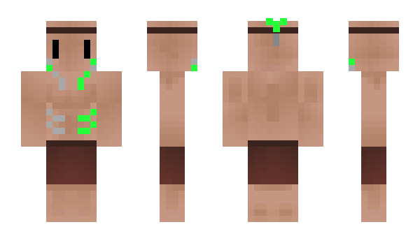 Minecraft skin preamblee