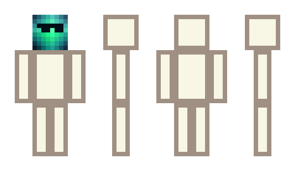 Minecraft skin Totempted