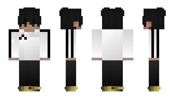 Minecraft skin DearSantleX