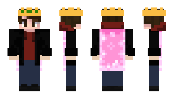 Minecraft skin TheTin_Man